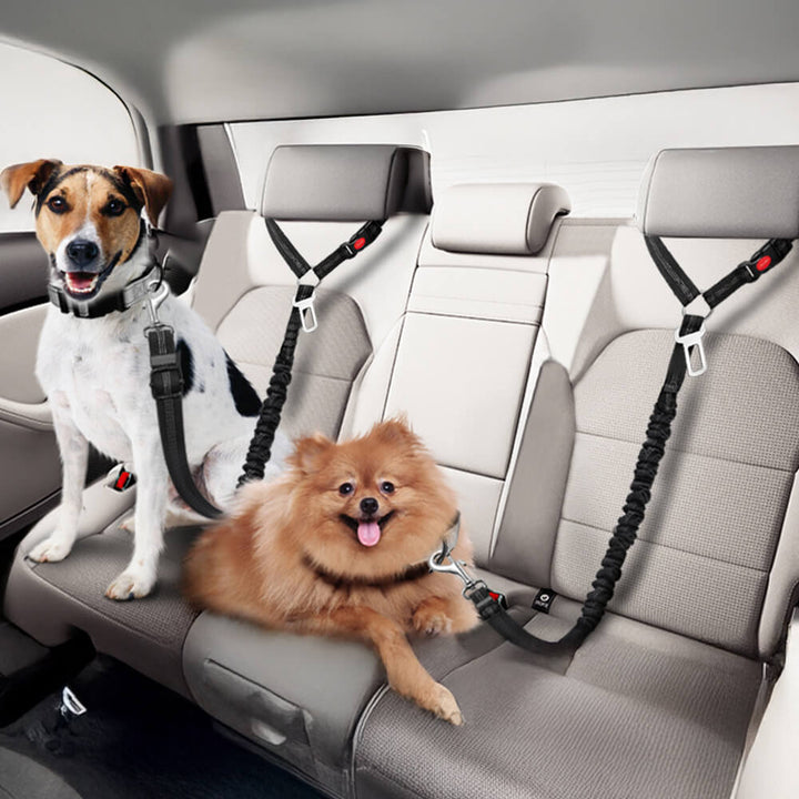 Hund Autositzgurt, verstellbar, grau, für sichere Autofahrten & Reisen; wichtiges Hundezubehör.