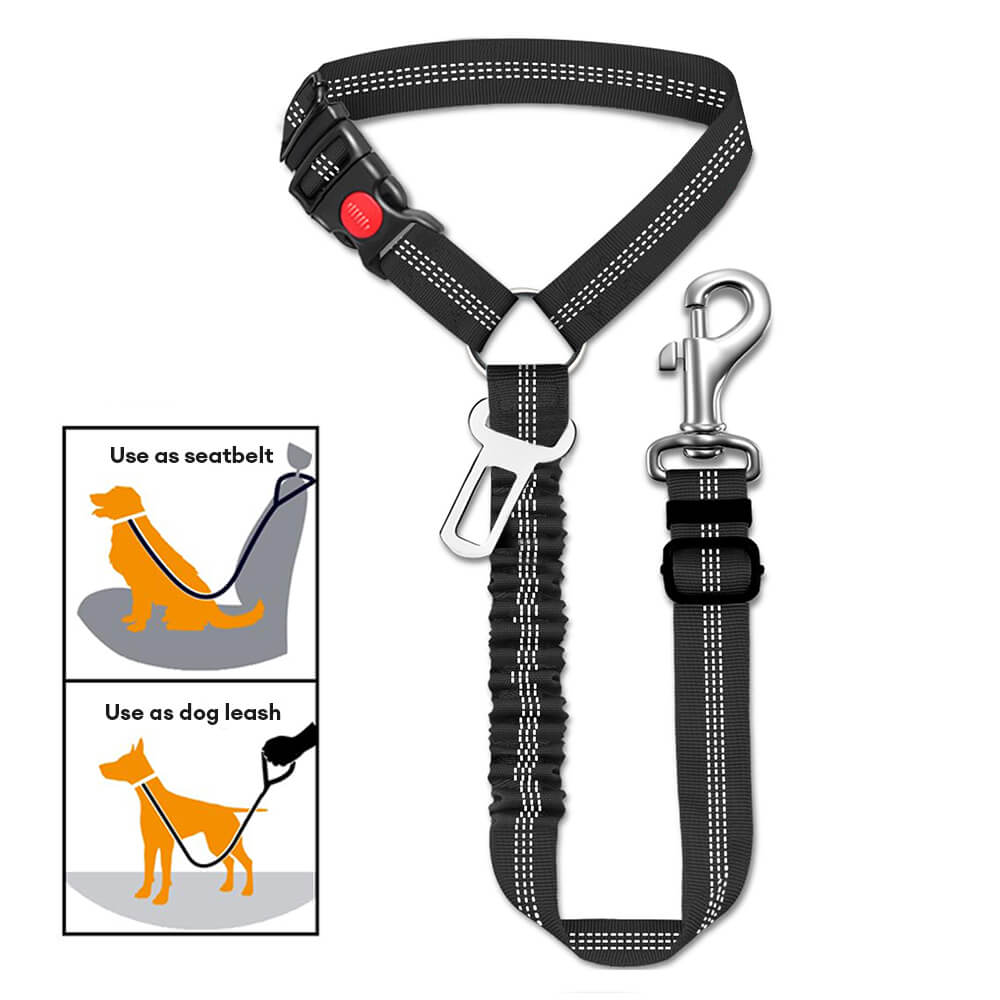Detailaufnahme des grauen Nylon-Autosicherheitsgurts für Hunde; hohe Sicherheit im Fahrzeug.