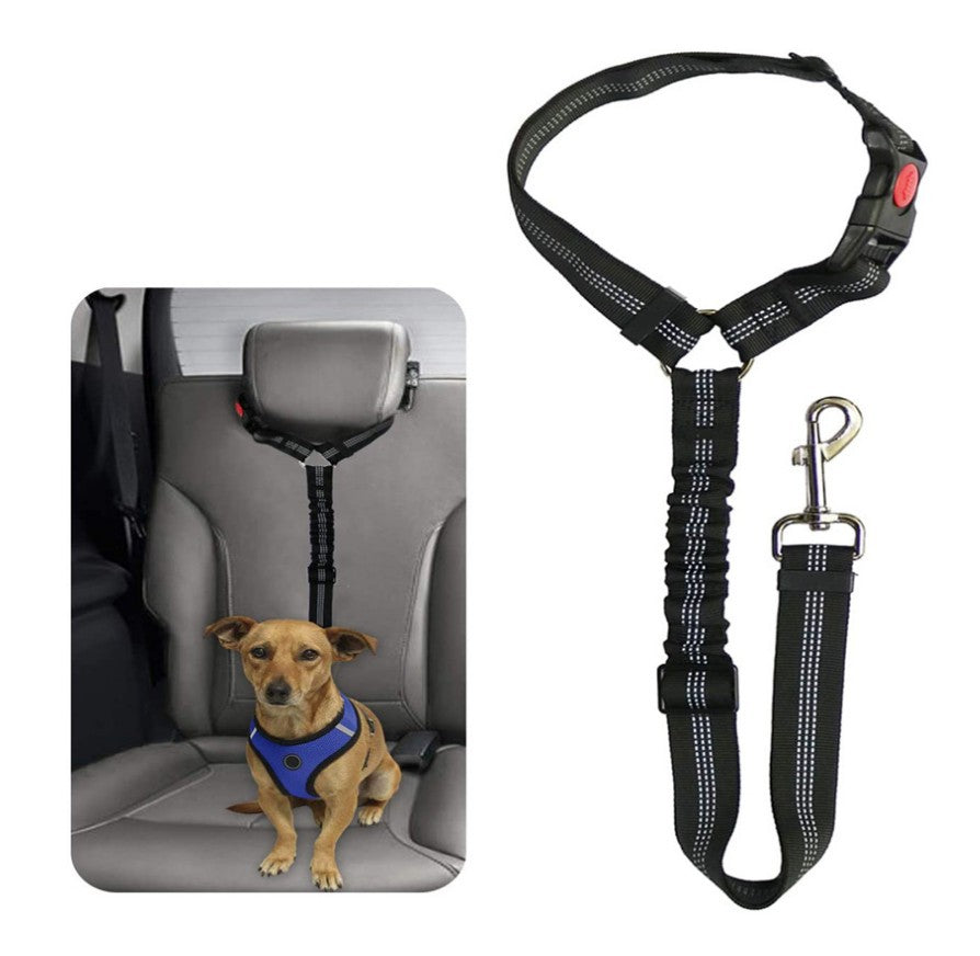 Kleiner Hund sicher angeschnallt mit passendem Hunde Autosicherheitsgurt im Fahrzeug.