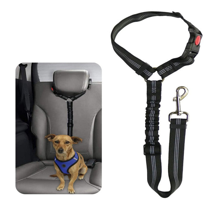 Kleiner Hund sicher angeschnallt mit passendem Hunde Autosicherheitsgurt im Fahrzeug.