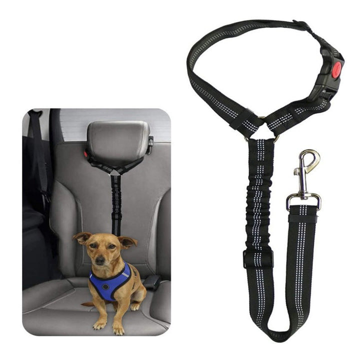 Hunde Autogurt – ein essenzielles Autozubehör für die sichere Beförderung des Vierbeiners.