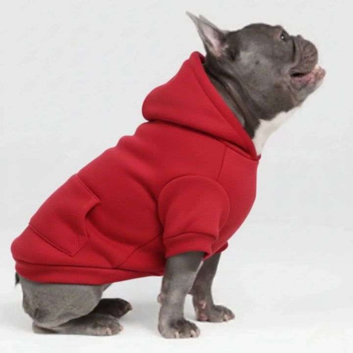 Hund in sportlichem Herbst/Winter Hoodie. Gemütliche Haustierkleidung für kalte Tage.