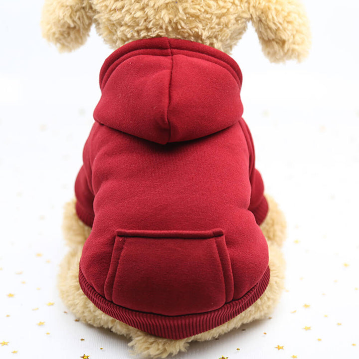 Warmer Hundepullover im modernen Design. Komfortable Wintermode für Haustiere.
