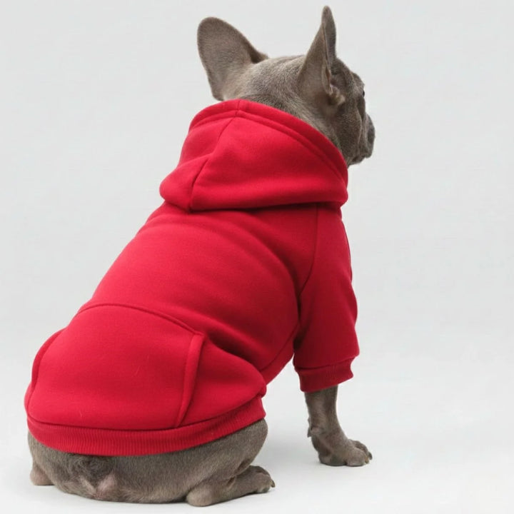 Warmer Hundepullover im Sportstil, ideal für Herbst & Winter. Stylische Tierbekleidung.