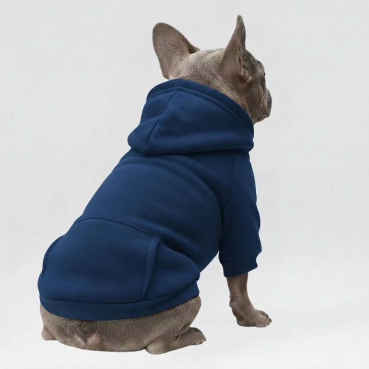 Gemütlicher Hunde Hoodie, mehrfarbig, für kalte Spaziergänge. Winterkleidung für Haustiere.