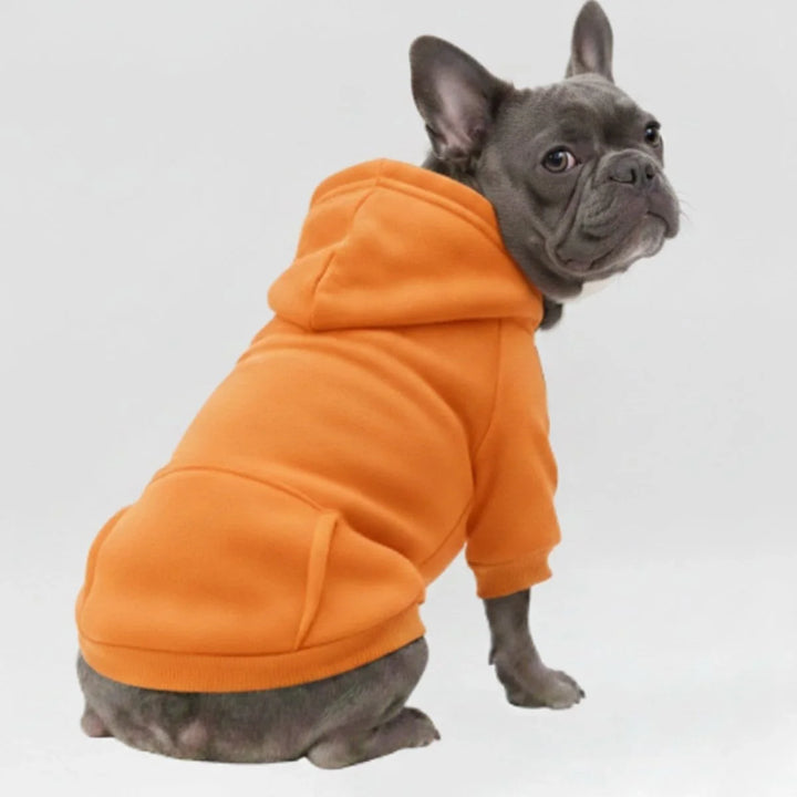 Sportliches Hundesweatshirt mit Kapuze, hält warm. Modische Herbstkleidung für Hunde.