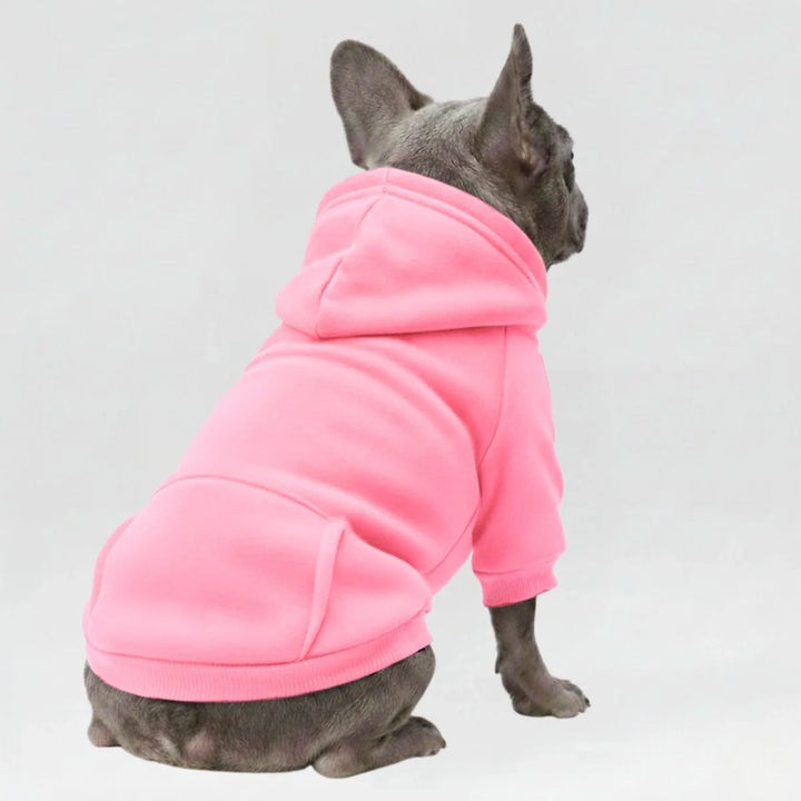 Trendiger Hundemode Hoodie in mehrfarbigem Sportdesign. Warme Kleidung für kleine Hunde.