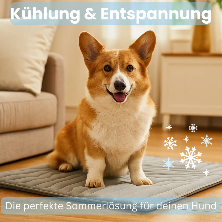 Hund liegt entspannt auf der CoolBalance Kühlmatte, genießt kühle Erfrischung im Sommer.
