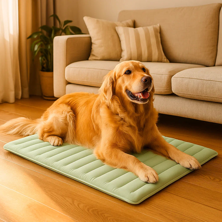 Die CoolBalance Kühlmatte bietet Hunden willkommene Abkühlung und Komfort an warmen Tagen.