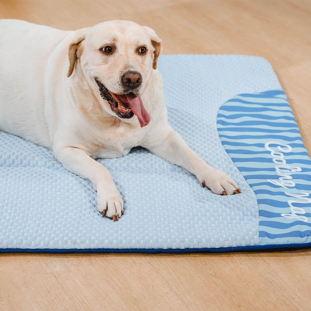 Hundebett-Kühlmatte in Grau, waschbar, rutschfest, bietet Entspannung im Sommer.