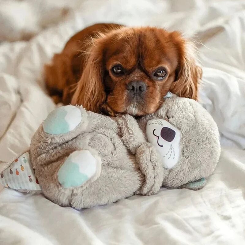 Reisebegleiter Hund: Plüschtier mit Klängen, sorgt für Komfort & Ruhe unterwegs.