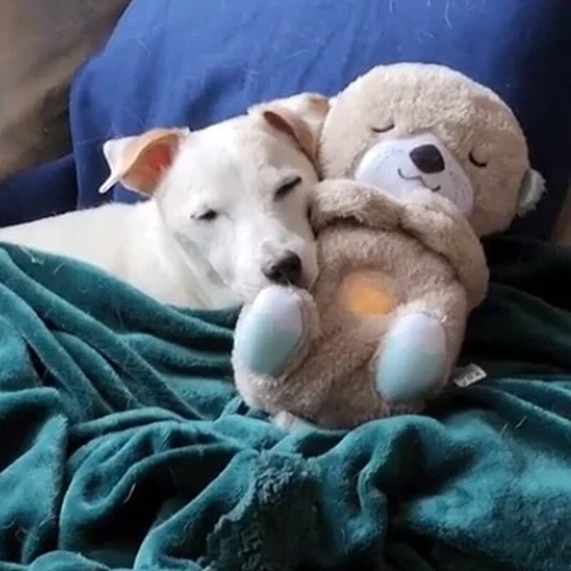 Hundeplüschtier mit Herzschlag & Beruhigungsklängen, perfektes Anti-Angst Zubehör für Welpen.