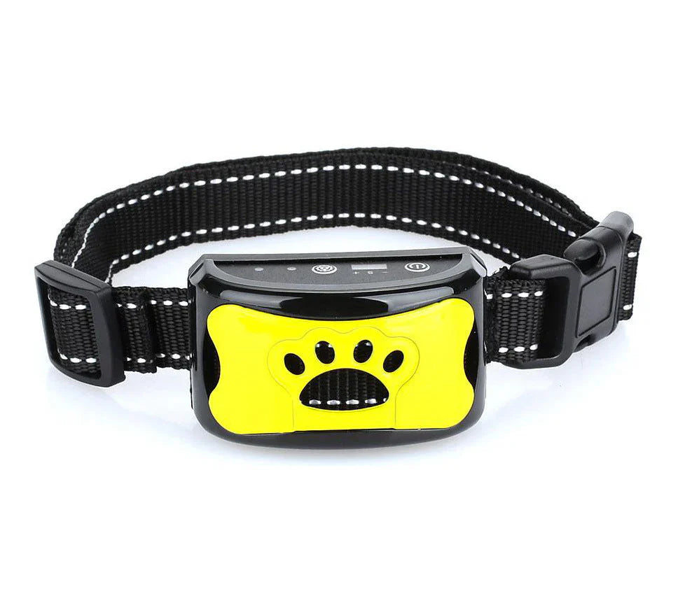 Hund mit leichtem Anti-Bell Halsband aus Nylon, das durch Vibration sanftes Verhaltenstraining gegen Bellen unterstützt.