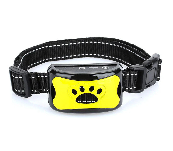 Hund mit leichtem Anti-Bell Halsband aus Nylon, das durch Vibration sanftes Verhaltenstraining gegen Bellen unterstützt.
