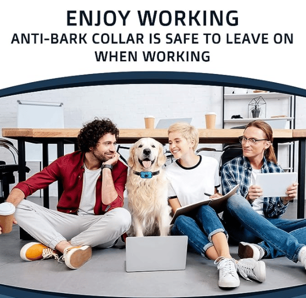 Effizientes Anti-Bell Trainingshalsband für Hunde; sanfte Korrektur von unerwünschtem Bellen.