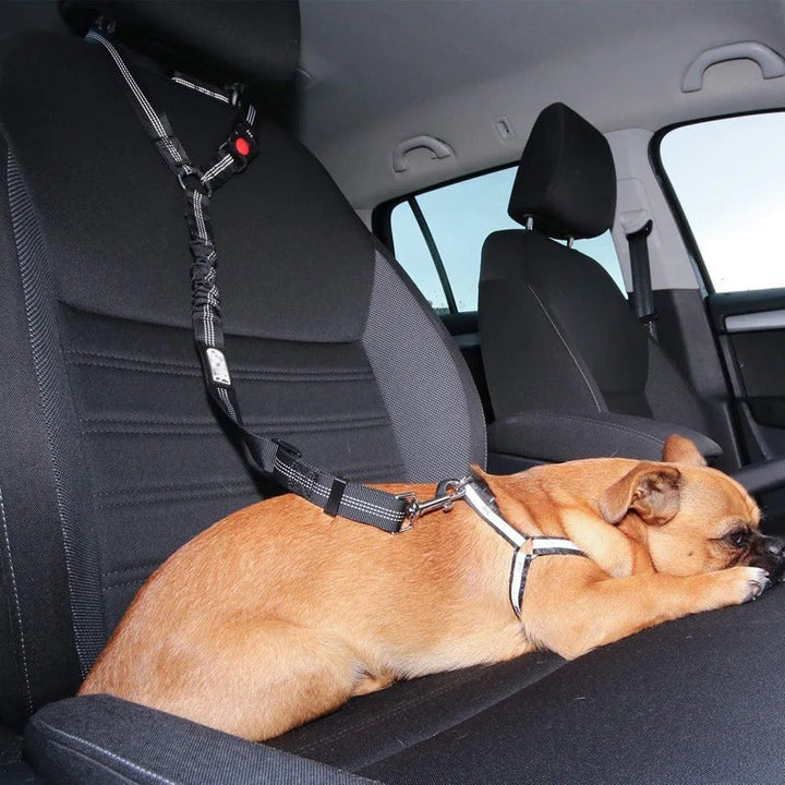 Hunde Autosicherheitsgurt für sichere Autofahrten & Unfallschutz, verstellbar, bequem.