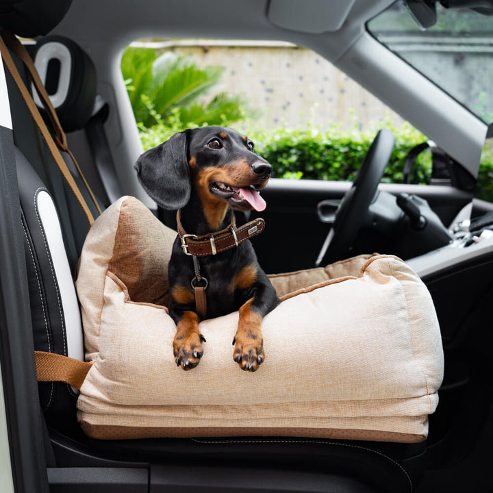 Geräumiges Hundeautositzbett in Hellkaffee mit Sicherheitsgurt, abnehmbar & waschbar.