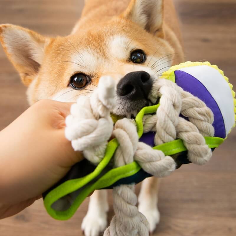 Langlebiges Hunde-Quietschspielzeug in Schuhform. Strapazierfähiges Beißspielzeug, ideal für aktive Vierbeiner & Welpen.
