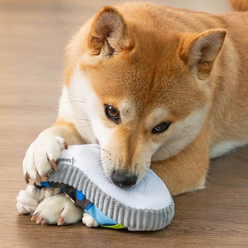 Interaktives Hundespielzeug in Schuhform. Robustes Kauspielzeug für Hunde, das Spiel und Zahnpflege kombiniert.