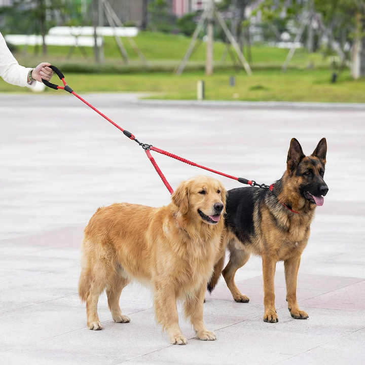 Hunde-Doppelleine mit 360° Drehgelenk. Verhedderungsfrei und stoßdämpfend für zwei Hunde.