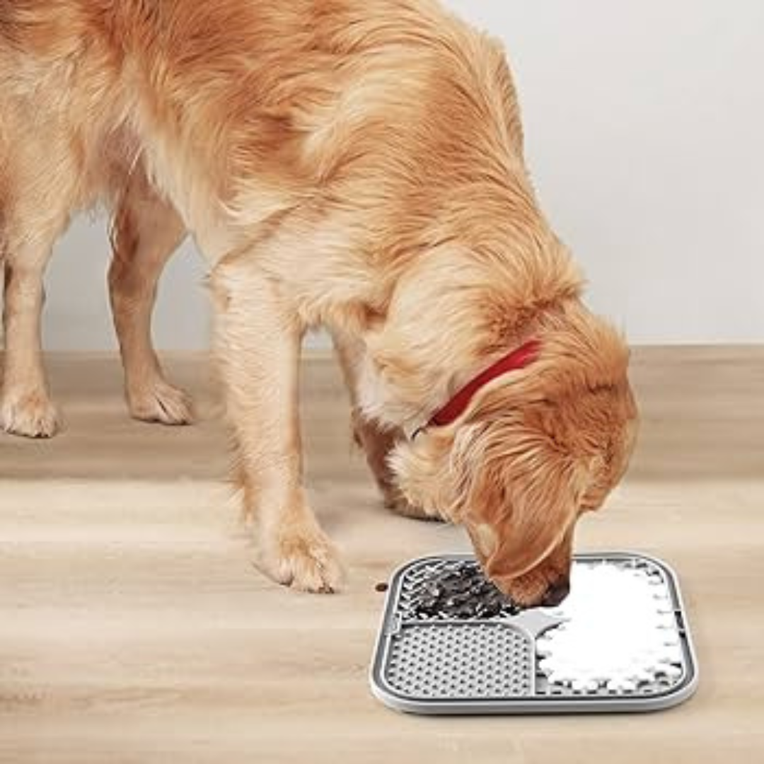 Hunde Leckmatte aus Silikon für Stressabbau, Langsamfressen & bessere Verdauung. Ideal als Beschäftigung.