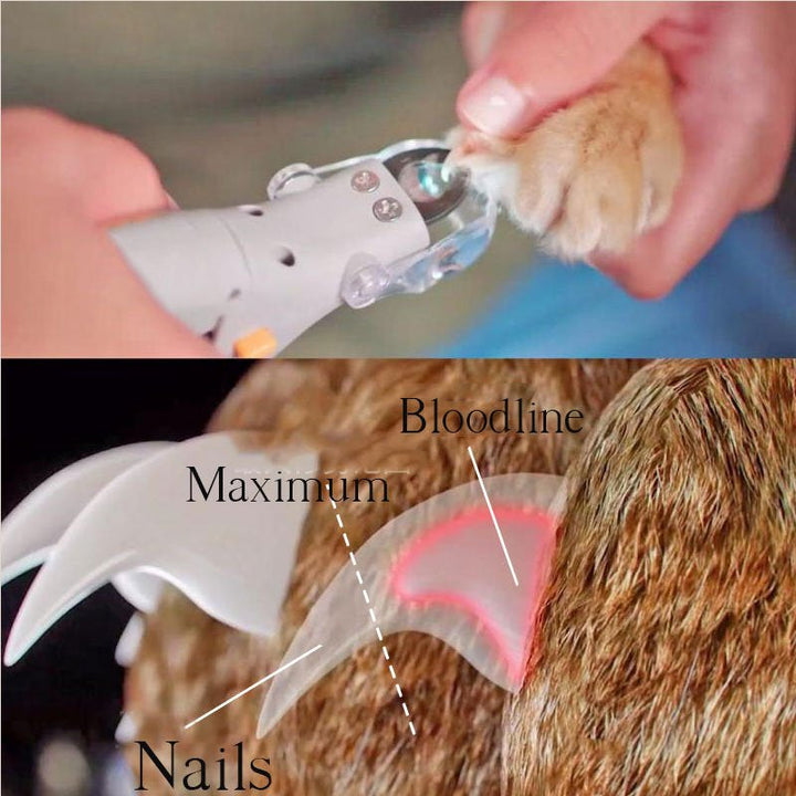 LED-Licht Nagelknipser für Hunde. Erkennt Blutgefäße, ermöglicht sichere, sanfte Krallenpflege & Nagelpflege.