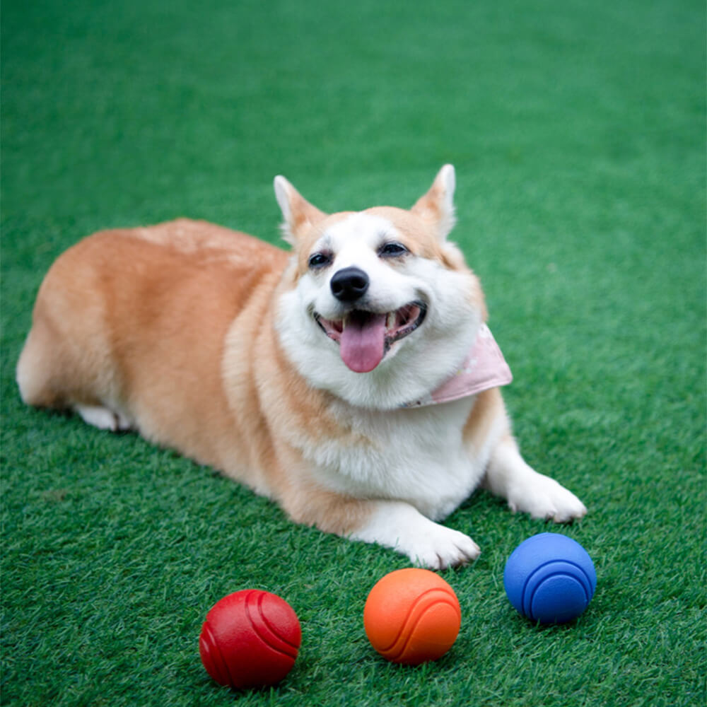 Hunde Quietschball, robust, elastisch und schwimmend. Perfektes Apportierspielzeug für endlosen Spielspaß im Wasser.