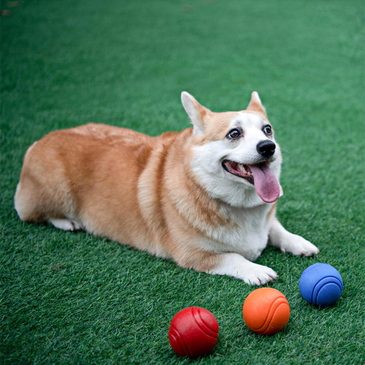 Langlebiger Hunde Quietschball aus Gummi, ideales Kauspielzeug für interaktive Spielzeit und Zahnreinigung.