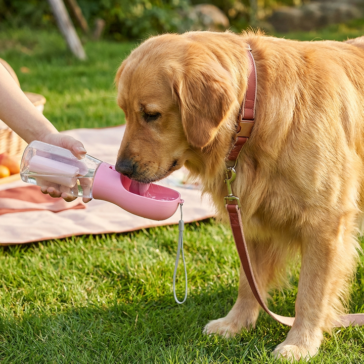 Robuste Hundeflasche mit auslaufsicherem Design für Wasser und Futter – unverzichtbares Hundezubehör.