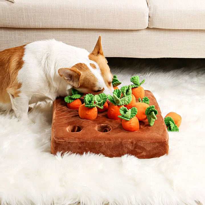 Hunde Schnüffelgarten Karotten: Interaktives Suchspielzeug zur Intelligenzförderung und Beschäftigung für Hunde.