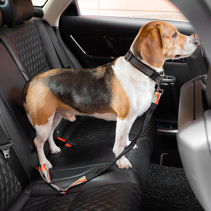 Verstellbarer Hunde-Sicherheitsgurt aus robustem Nylon für sicheren Autotransport und Reisekomfort.