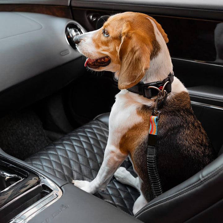 Haustier-Sicherheitsgurt mit Pufferfunktion für Hunde im Auto, sorgt für Sicherheit und Komfort auf Reisen.