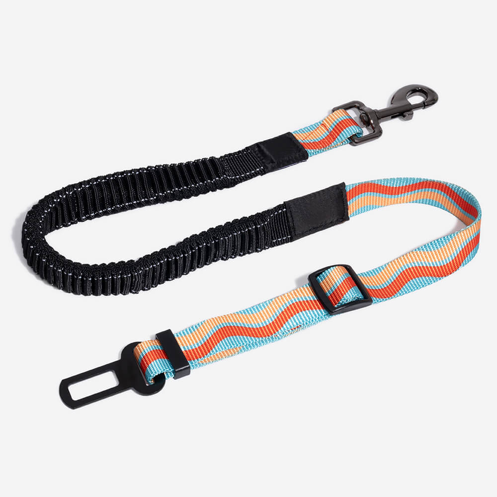 Premium Hunde-Sicherheitsgurt für Autos: sicherer Transport, verstellbares Nylon, Komfort für Ihr Haustier.