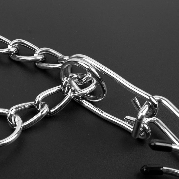 Hunde Pincherhalsband aus Metall mit abgerundeten, gummierten Stiften für sanfte Korrektur beim Training.