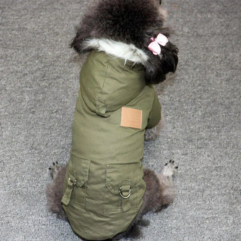 Wasserdichte Hunde-Winterjacke FrostPaws schützt vor Nässe & Kälte. Perfekter Hundemantel für jedes Winterwetter.