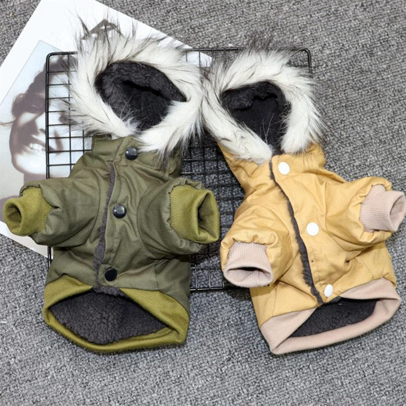 Modische Hunde-Winterjacke FrostPaws in modernem Design. Stilvolle & warme Haustierkleidung für trendbewusste Hunde.