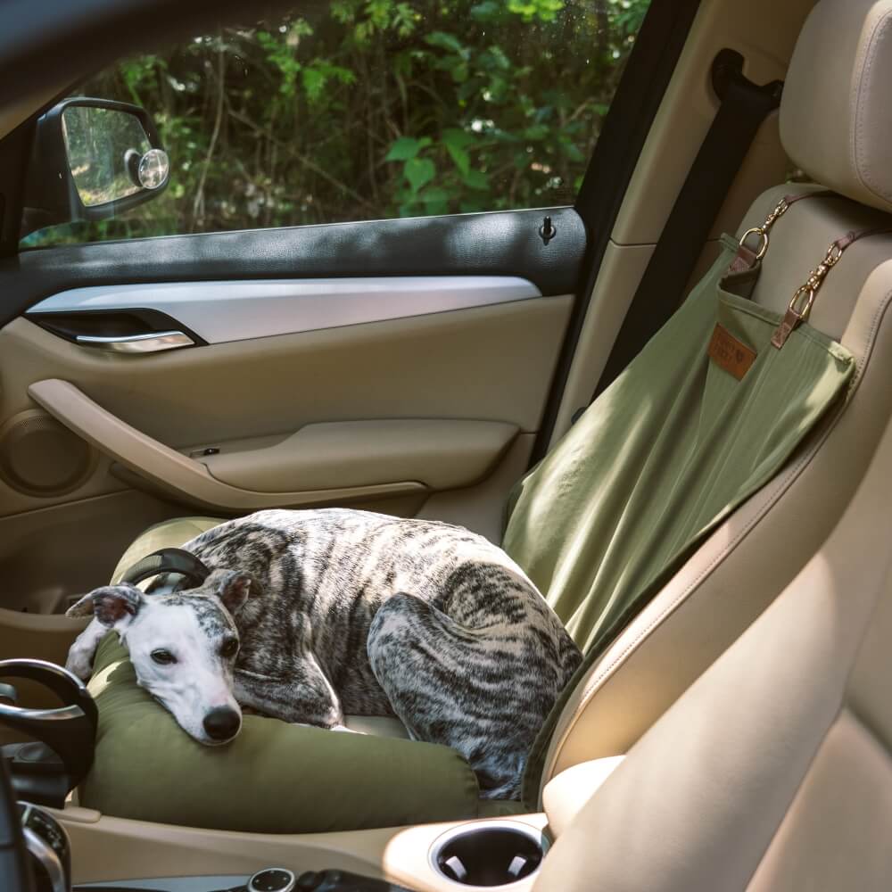 Bequemer Hundeautositz im Schachbrettdesign, ideal für kleine Hunde auf der Rückbank.