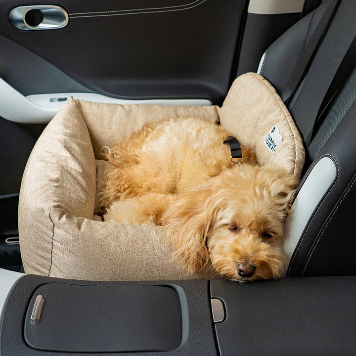 Premium Hundeautositz, komfortables Hundebett für unterwegs, leicht zu montieren.