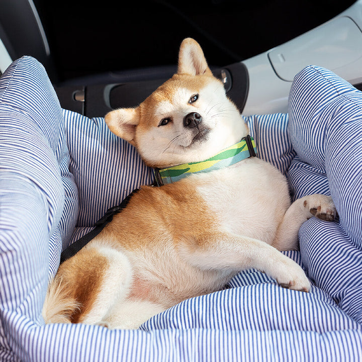 Komfortabler & sicherer Hundeautositz für entspannte Autofahrten. Mit weichem Kissen & robustem Design.