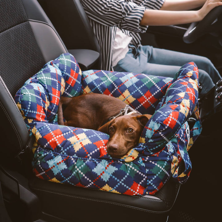Autositz für Hunde mit Gurtbefestigung. Sorgt für sicheren Halt & entspannte Reisen Ihres Haustiers.