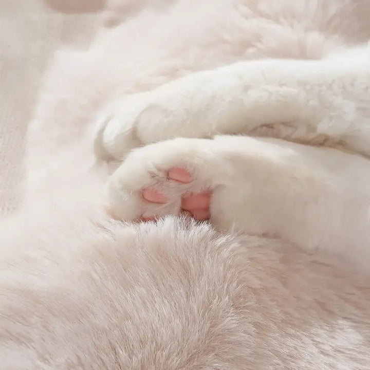 Stilvolles Hundezubehör: Elegantes Hundebett im modernen Design, auch als sicherer Autositz für Hunde geeignet.