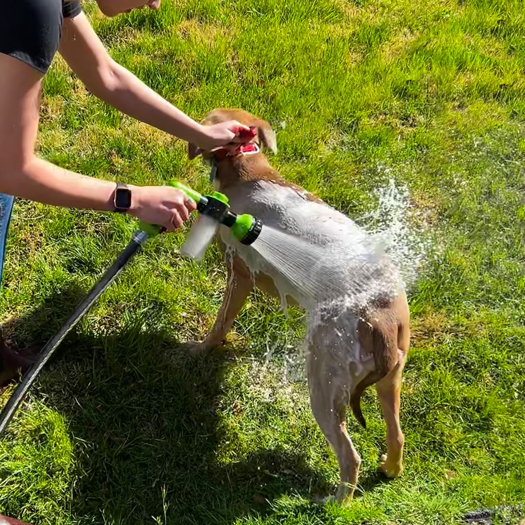 Flexible Hundeduschbrause mit Wasserstrahl für sanfte Fellpflege und gründliches Hundebad.