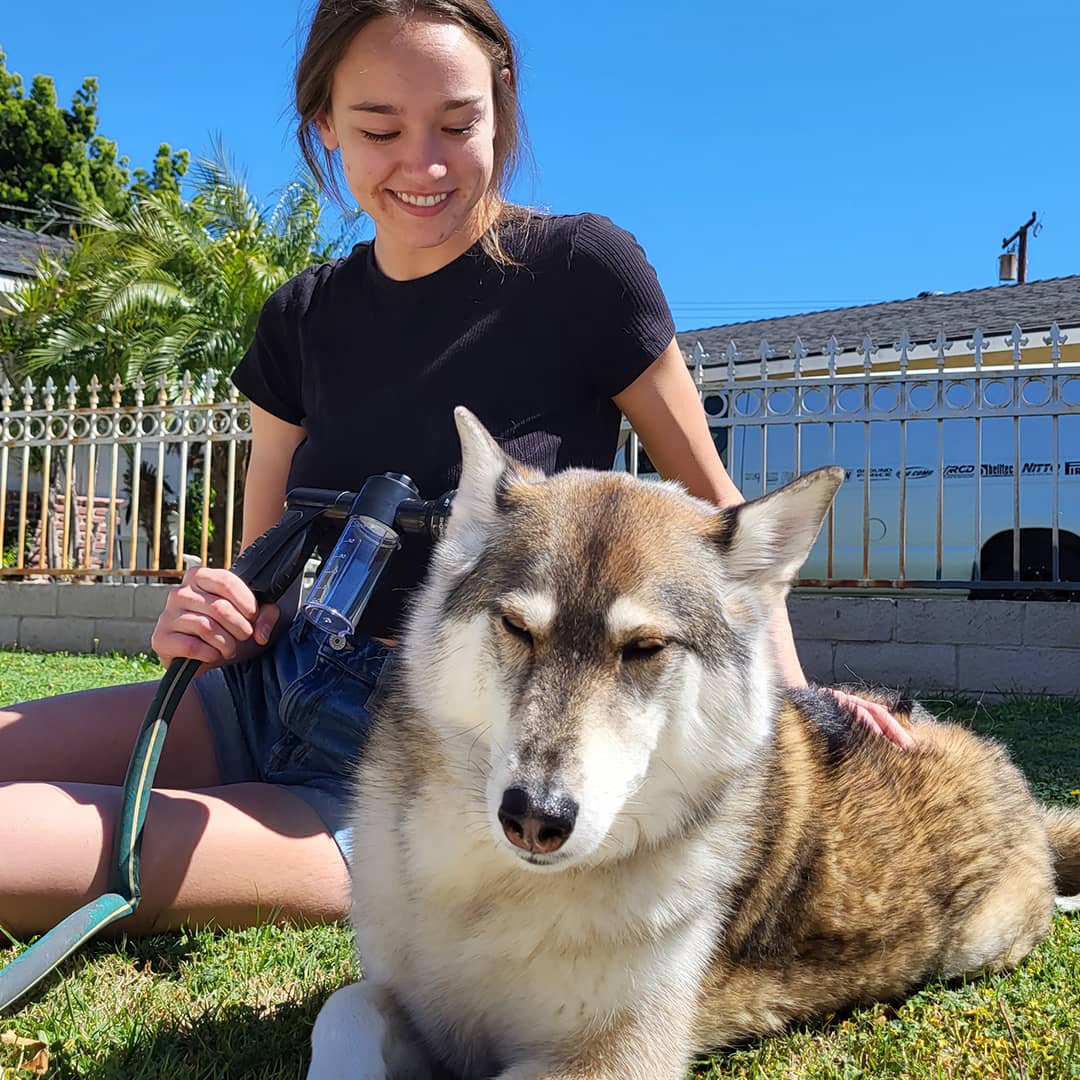 Innovative Hundeduschbrause für stressfreies Hundebad, sanfte Reinigung und optimale Fellpflege.