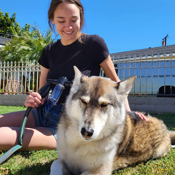 Innovative Hundeduschbrause für stressfreies Hundebad, sanfte Reinigung und optimale Fellpflege.