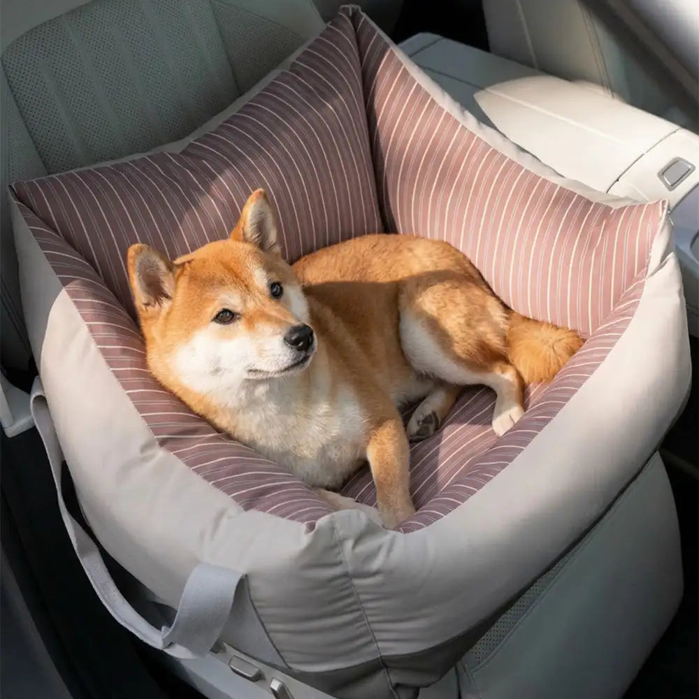 Autohundebett für sicheren Transport: Praktischer, wasserabweisender Hundesitz für entspannte Autofahrten.