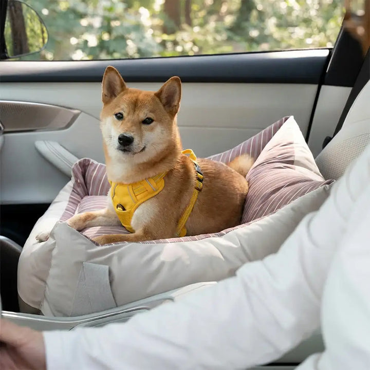 Hundesitz fürs Auto: Robustes, wasserabweisendes Sitzbett für Hunde, bietet maximalen Tierkomfort auf Reisen.