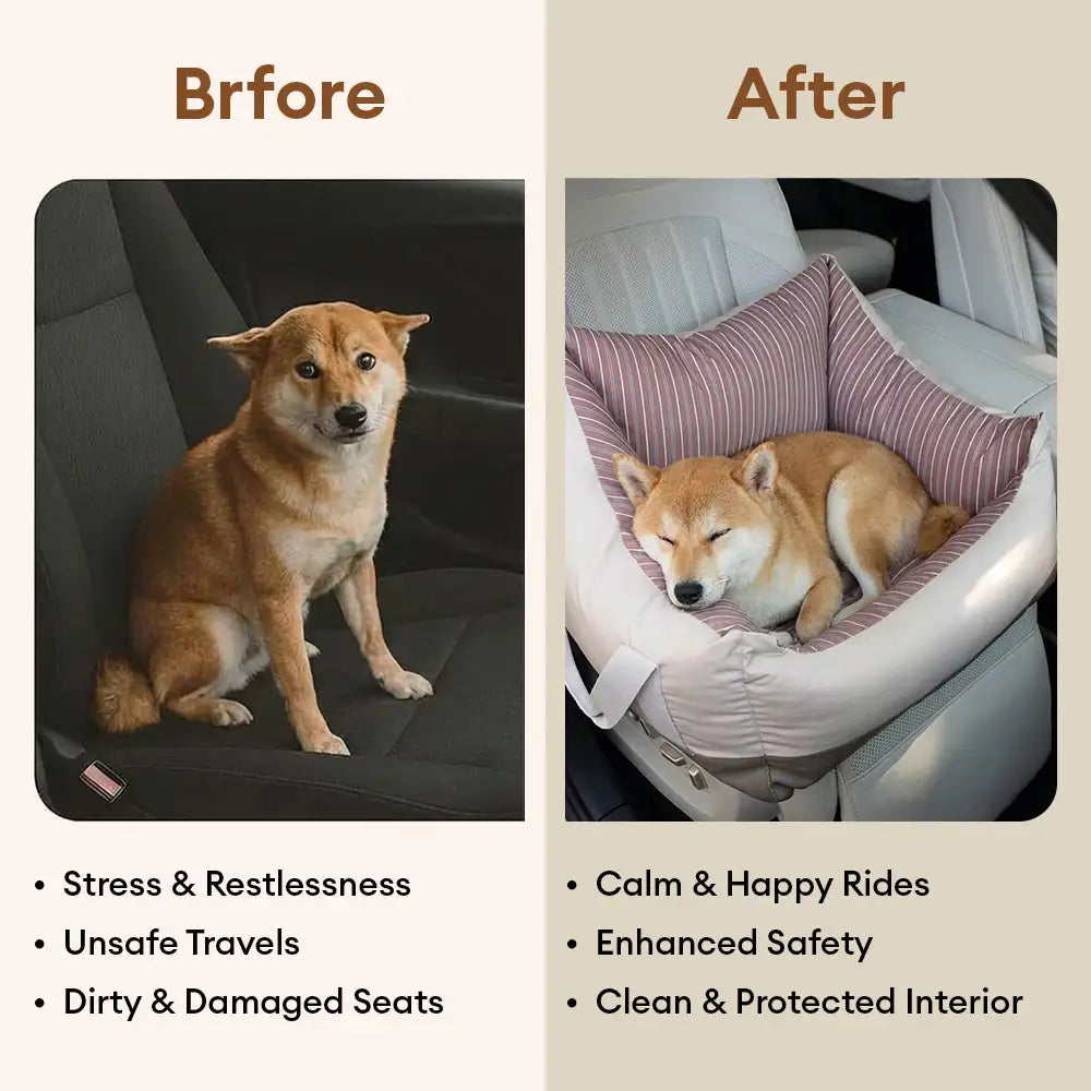 Tragbares Hundebett: Sicheres Reisezubehör für Hunde im Auto, sorgt für Geborgenheit während der Fahrt.
