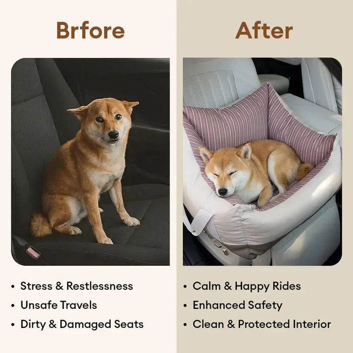 Tragbares Hundebett: Sicheres Reisezubehör für Hunde im Auto, sorgt für Geborgenheit während der Fahrt.