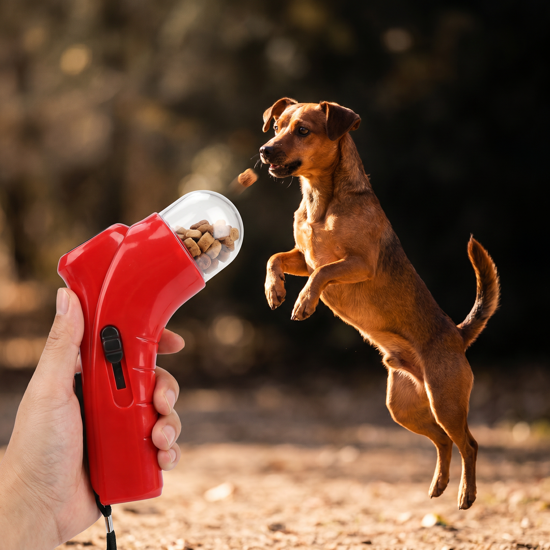 Outdoor Hundespielzeug: Leckerli-Werfer für Training, Belohnung, Spaß & Erziehung im Freien.