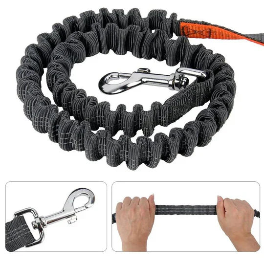 Robuste Hundeleine Freihand für sichere Führung bei Spaziergängen & Hundesport. Langlebiges Outdoor-Zubehör.